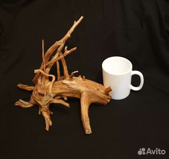 Коряга в террариум