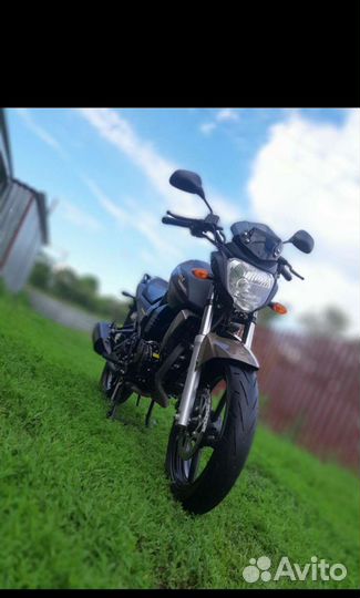 Motoland bandit 250