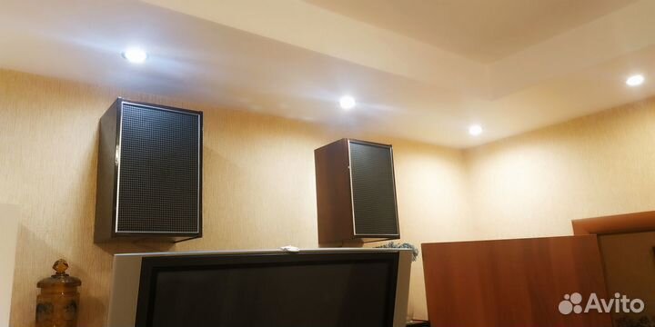 Акустические колонки 10мас-1М