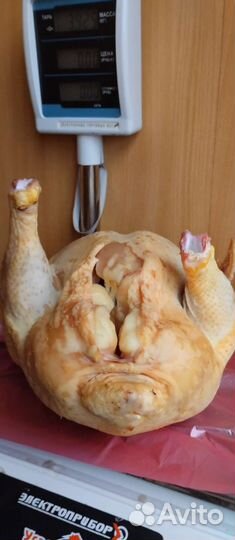 Мясо домашней птицы