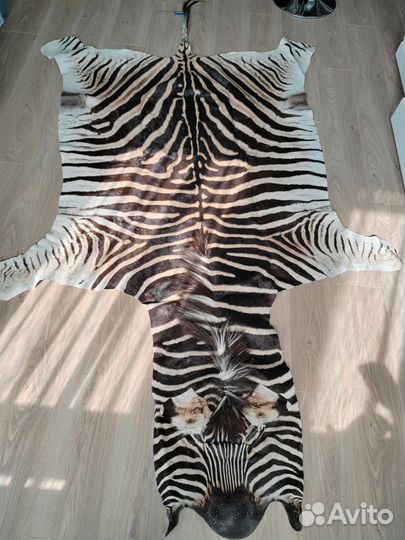 Шкура зебры натуральная