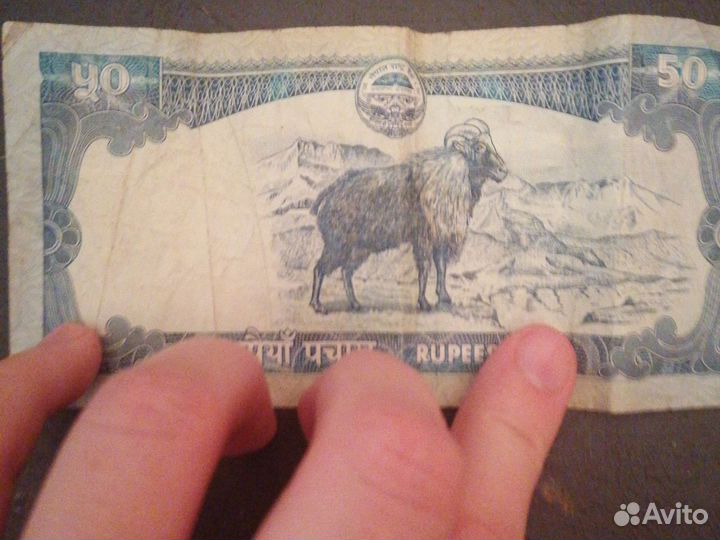 Монгольские деньги