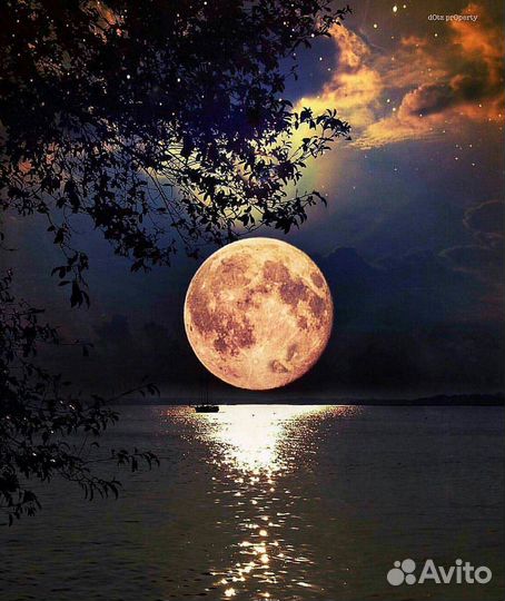 Черные петухи И куры доставка