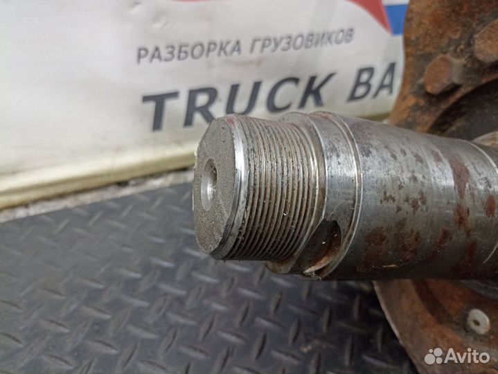 Кулак поворотный правый Iveco Stralis