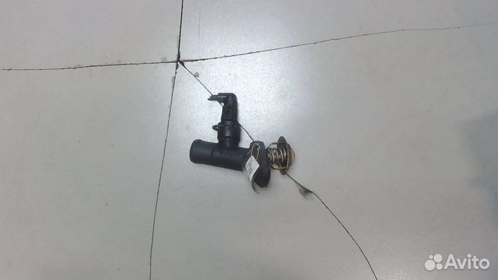 Корпус термостата Volkswagen Golf Plus, 2007