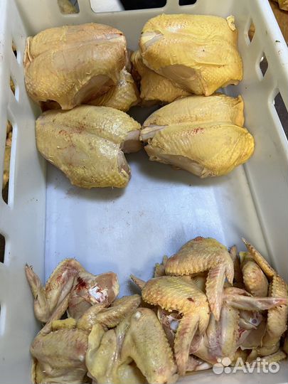 Куры бройлеры тушки