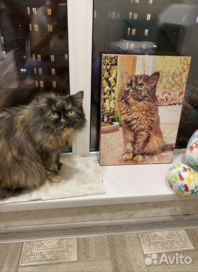 Алмазная мозаика