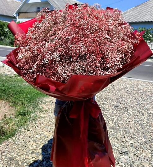 Букеты Гипсофилы