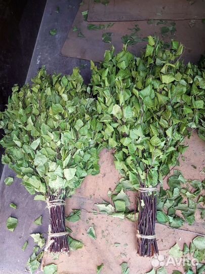 Березовые веники