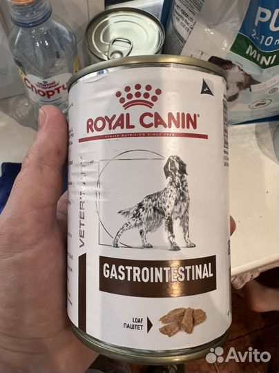 Корм royal canin