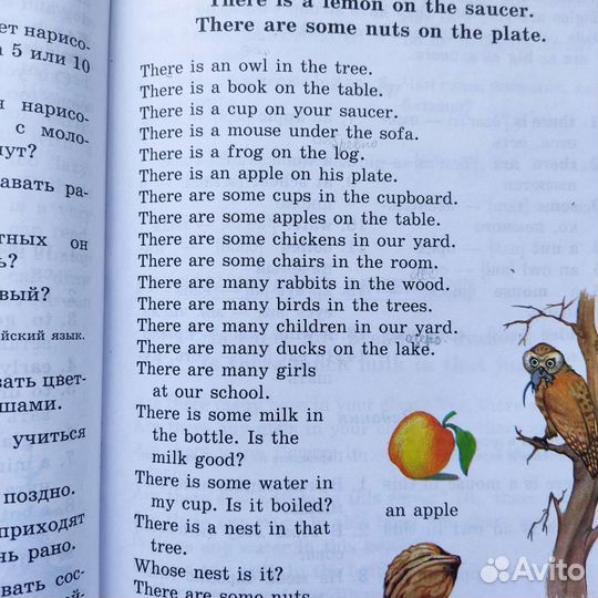 Книга учебник Скультэ Английский для детей