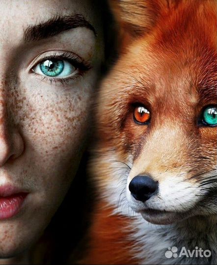 Картина по номерам 40х50 Дикие. Лисица