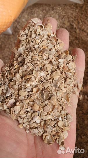 Ракушка кормовая