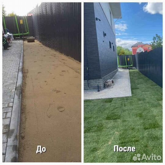 Укладка и продажа газона