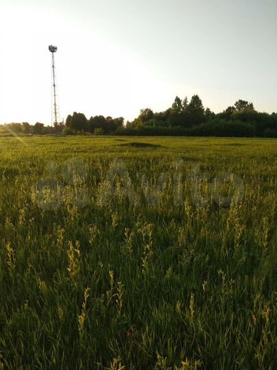 Участок 37 сот. (ИЖС)