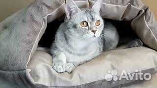 Лежанка-пещерка