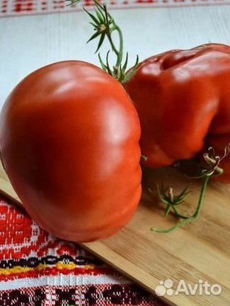 Юсуповский -семена томат