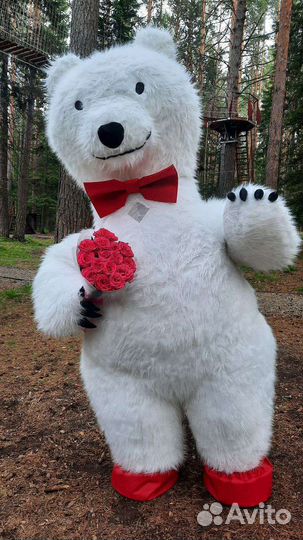 Поздравление от Большого Белого Медведя Аниматор
