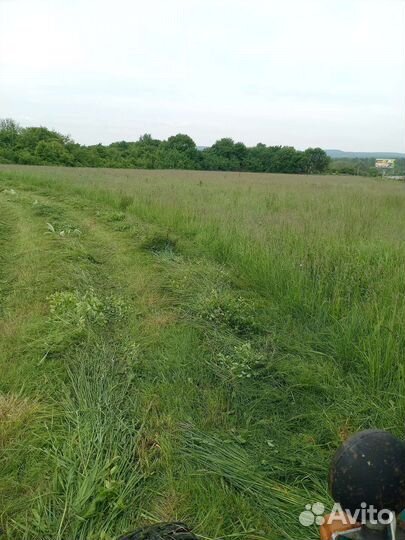 Разнотравие