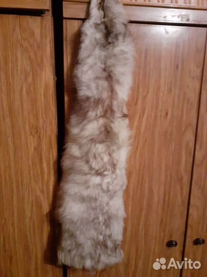 Шкурка песца