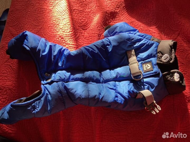 Комбинезон для средней собаки