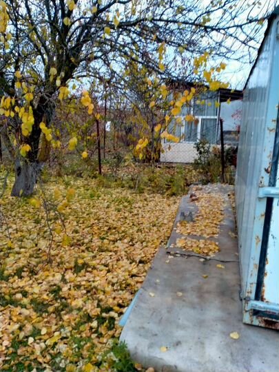 Участок 5 сот. (СНТ, ДНП)