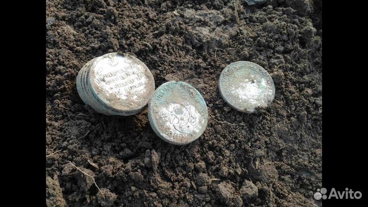 Симпликс плюс в наличие. Нокта -Макро в Твери