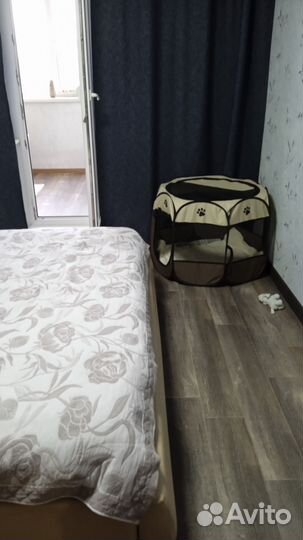 Манеж для собак