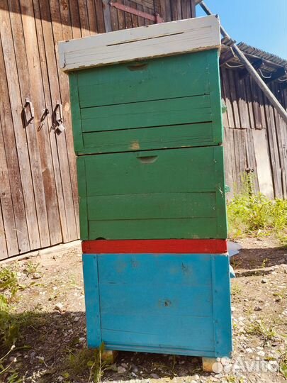 Пчелы и улья