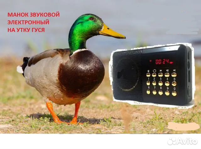 Манок на утку на гуся реально работает см.видео