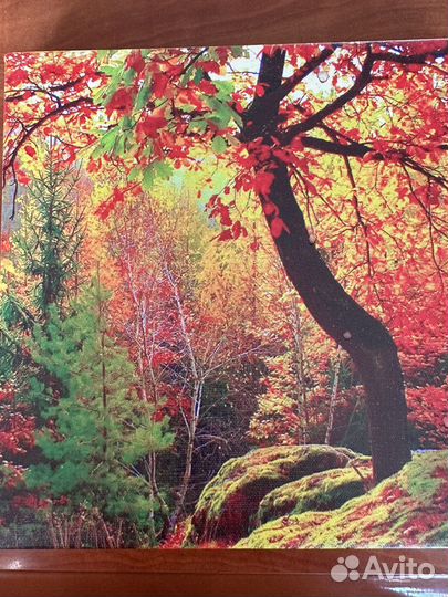 Постеры (кол-во 3шт)