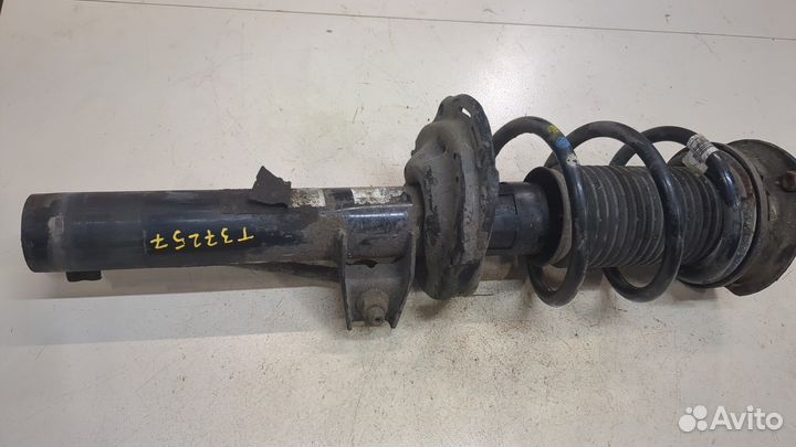 Амортизатор подвески Volkswagen Tiguan, 2018