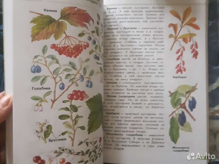 Атлас А.А.Плешаков от земли до неба