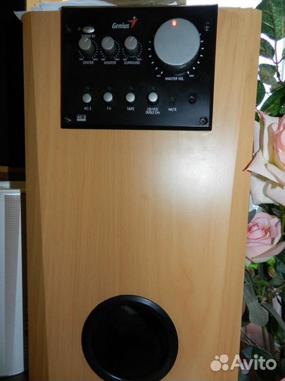Компьютерная акустика Genius SW-5.1 Home Theater