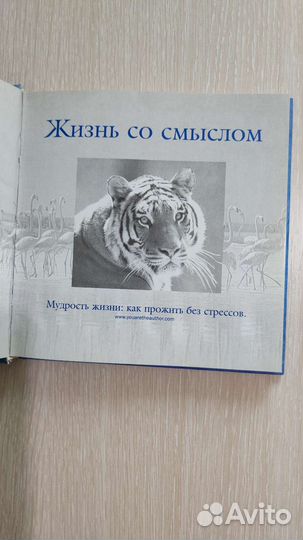 Книга в картинках 