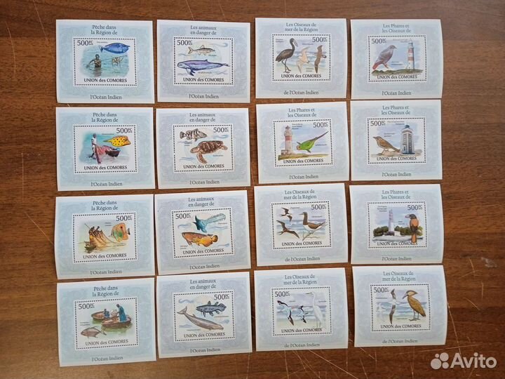 Чистые блоки фауна 2