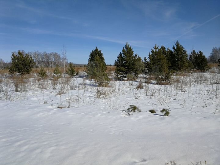 Участок 10,27 га (СНТ, ДНП)