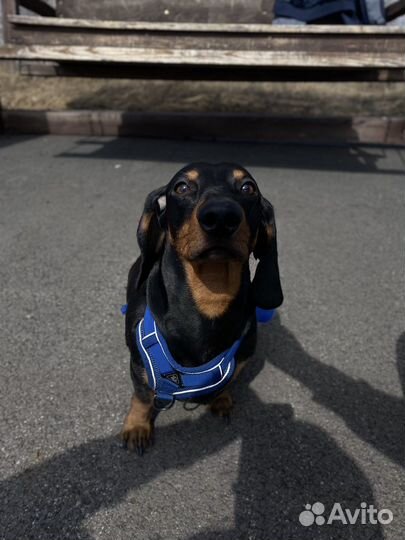 Кабель для вязки