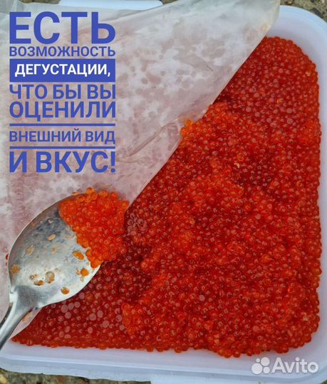 Красная икра 2023