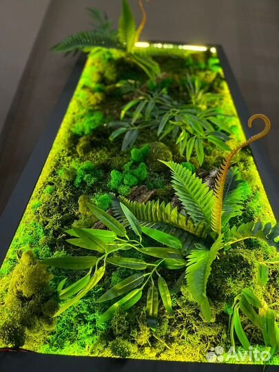 Панно из стабилизированного мха