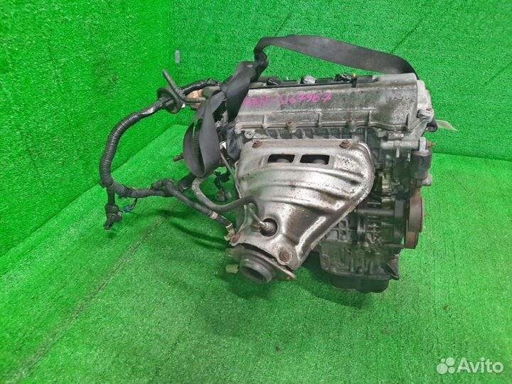 Двигатель на toyota isis ZNM10 1ZZ-FE