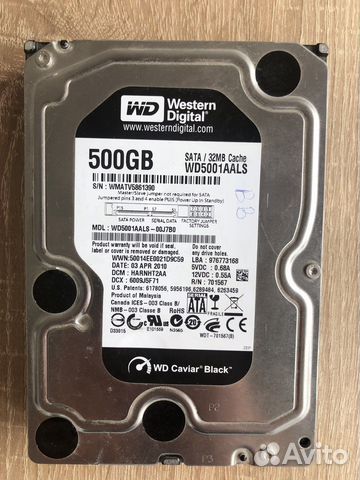 Жесткий диск HHD WD Black 500Gb купить в Москве | Электроника | Авито