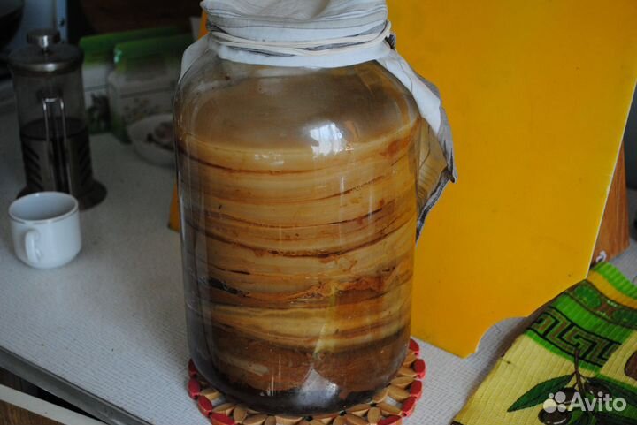 Чайный гриб, расторопша, мурайя, гинкго, азимина