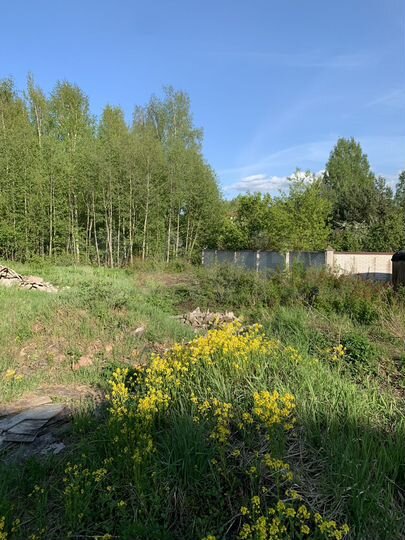 Участок 29,5 сот. (ИЖС)