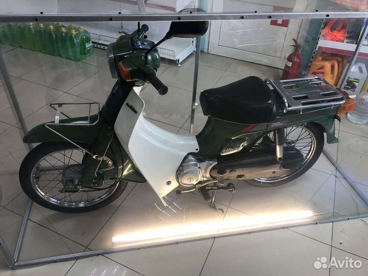 Suzuki birdie