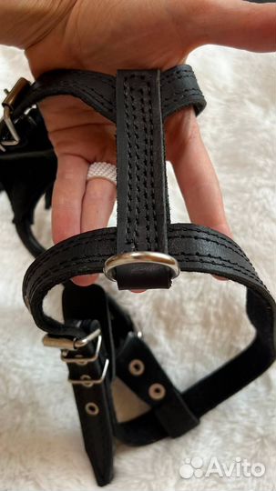 Шлейка для средней собаки