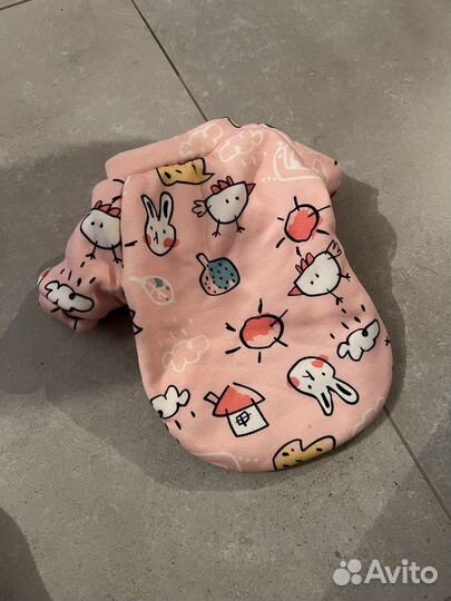 Одежда для собак