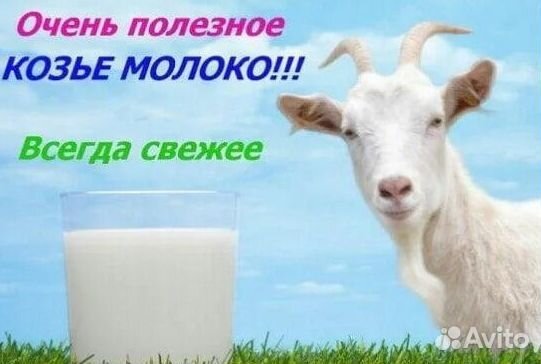 Козье молоко