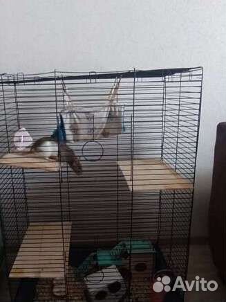 Большая клетка для крыс. И для других животных