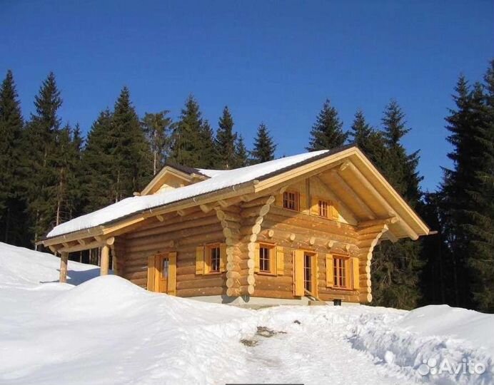 Срубы из кедра